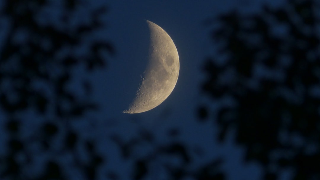 Moonlight