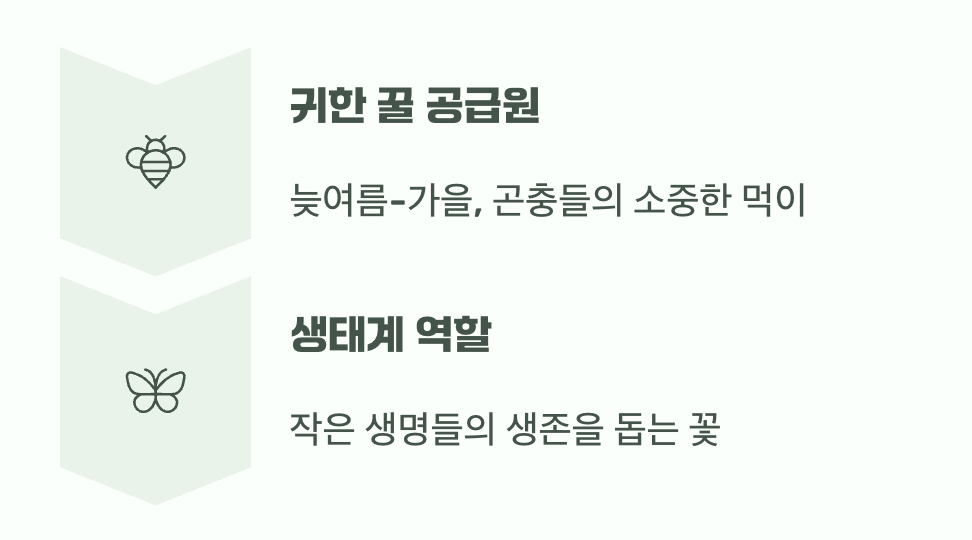 벌과 나비들의 마지막 만찬장