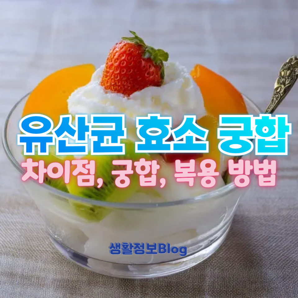 유산균 효소 궁합