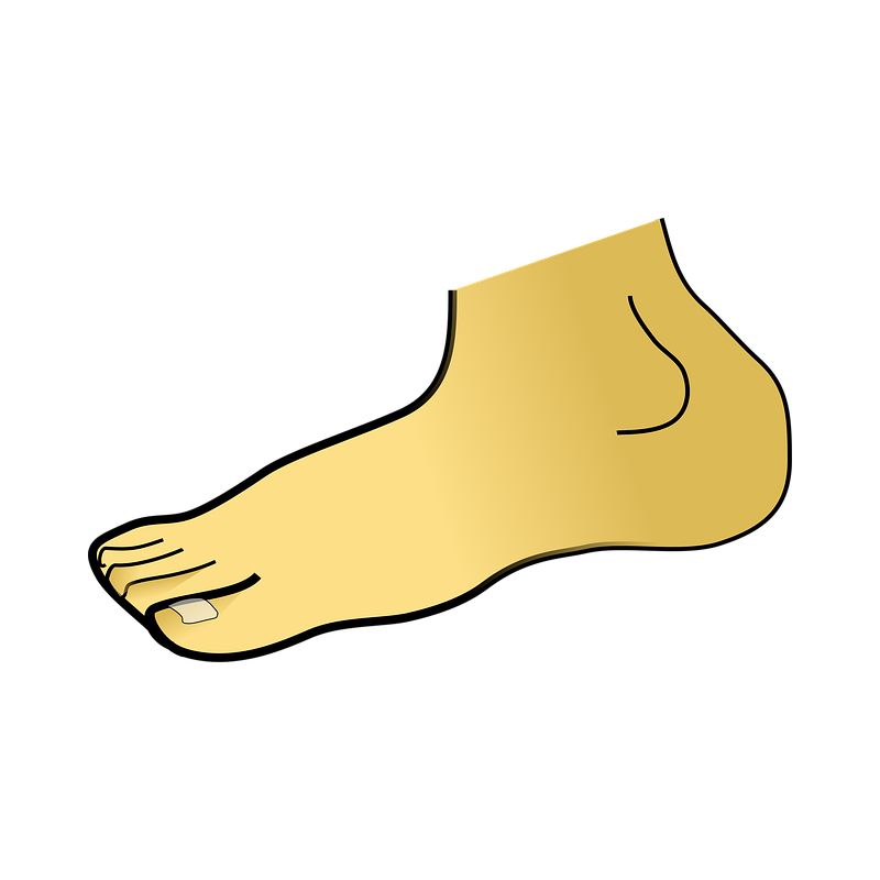 발목 인대 끊어지면 재활