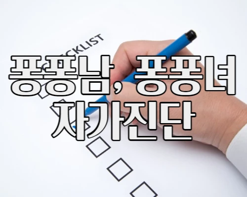 체크리스트