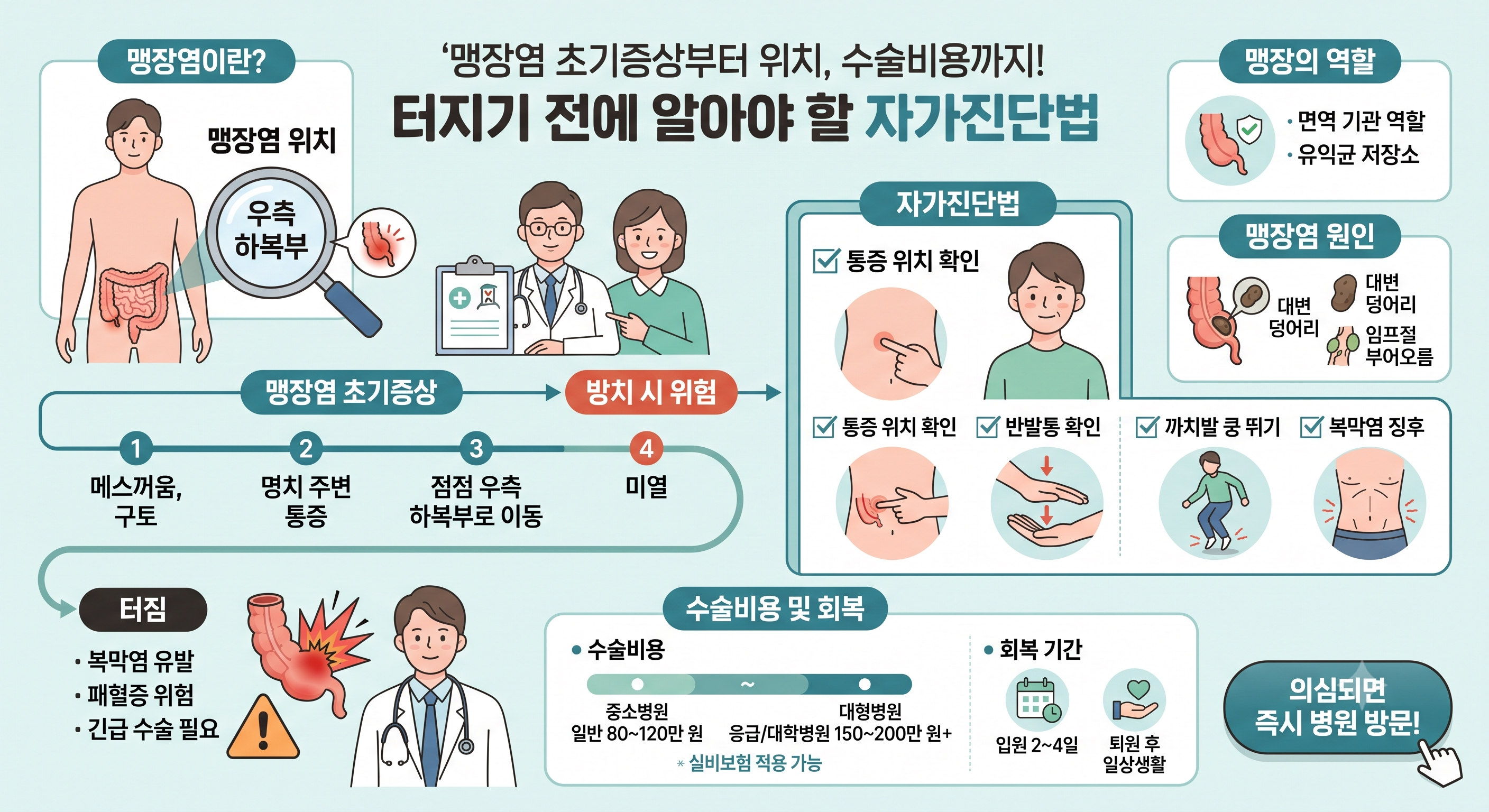 맹장의 역활 및 위치