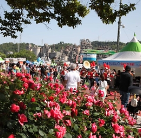 2025 삼척 장미축제