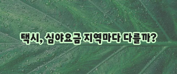 지역별 택시 할증 시간 및 요금
