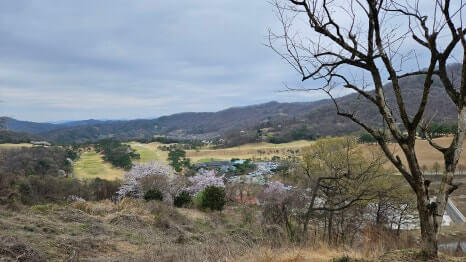 골프장 경험담 청주 세레니티cc 단순한 골프장이 아니라&amp;#44; 자연과 설계&amp;#44; 건축이 어우러진 공간 미학의 산물 완벽에 가까운 골프장
