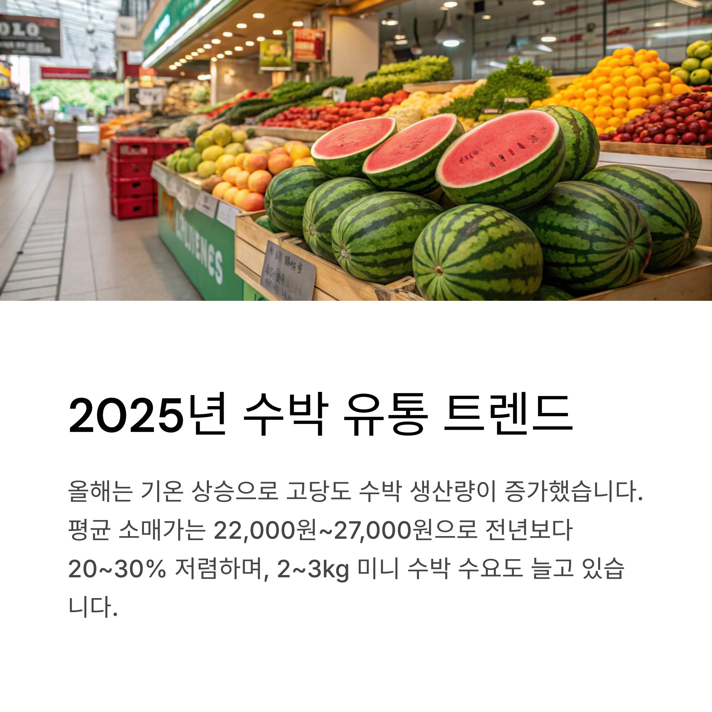 2025년 수박 유통 트렌드
