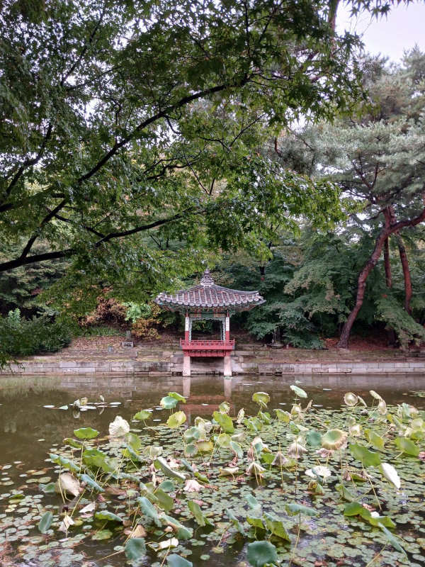 후원 애련정