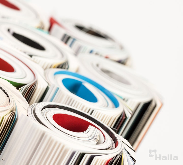 다양한 종이가 돌돌 말려 있는 이미지