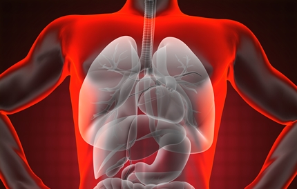 간수치가 높으면 나타나는 증상