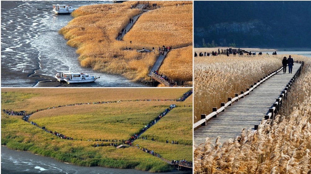 코레일 기차여행