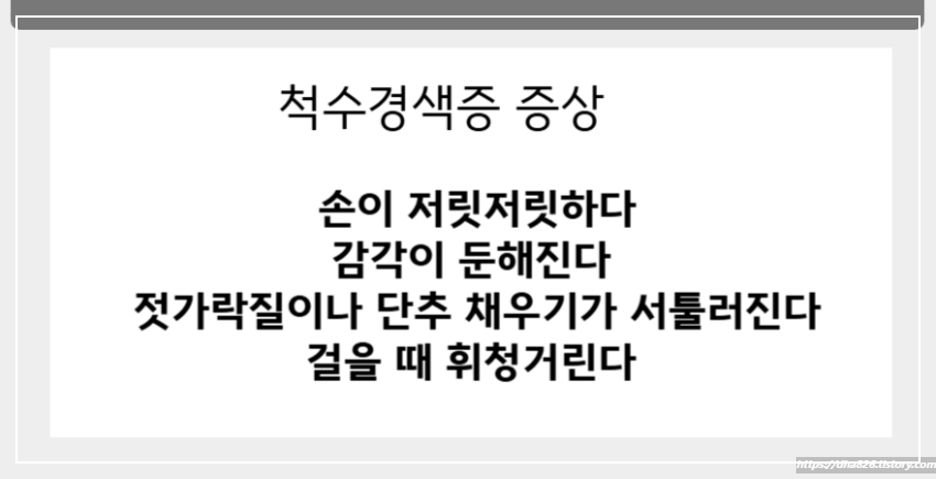 경추척수증 증상