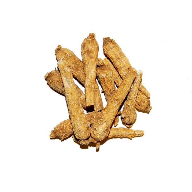 위 영양제 추천