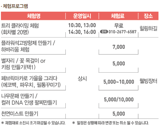 체험 프로그램