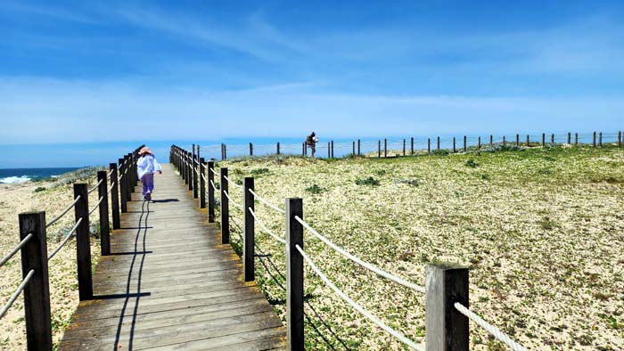 2023년 5월 우리 가족이 걸었던 까미노포르투게스 둘째날 - 포보아드 바르징에서 아풀리아 구간