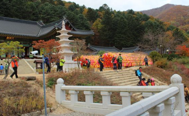 2025 오대산 단풍 절정 시기 공개! 가을 일정 &amp; 인기 등산 코스 TOP 5