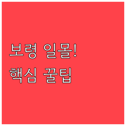 서해안 최고의 겨울 휴양지 보령 2월..