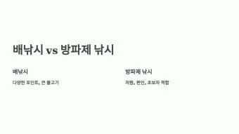 낚시 시즌별 대상어 봄 감성돔 여름 전어 가을 갈치 겨울 빙어_14