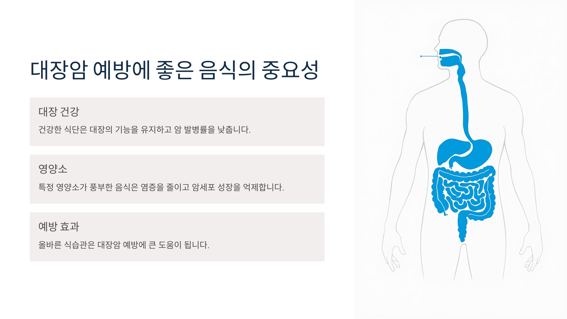대장암 예방에 좋은 음식의 중요성