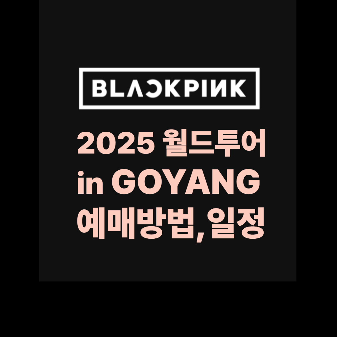 2025 블랙핑크 월드투어 고양 콘서트