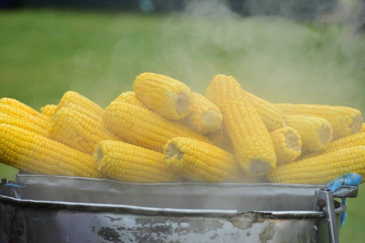 옥수수 삶는 방법