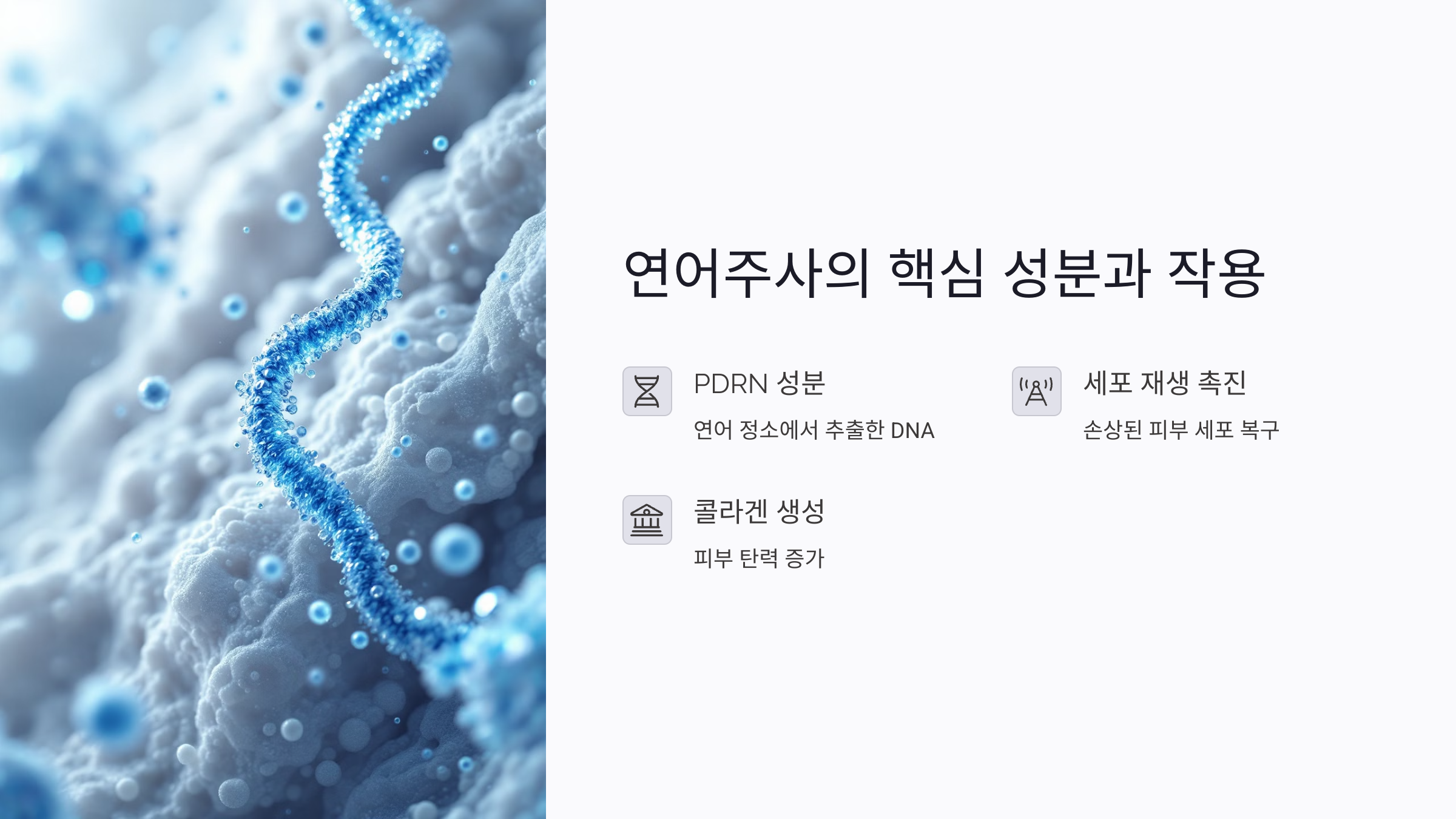 연어주사의 미백 효과와 작용 원리