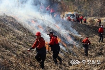 홍성 대전 산불
