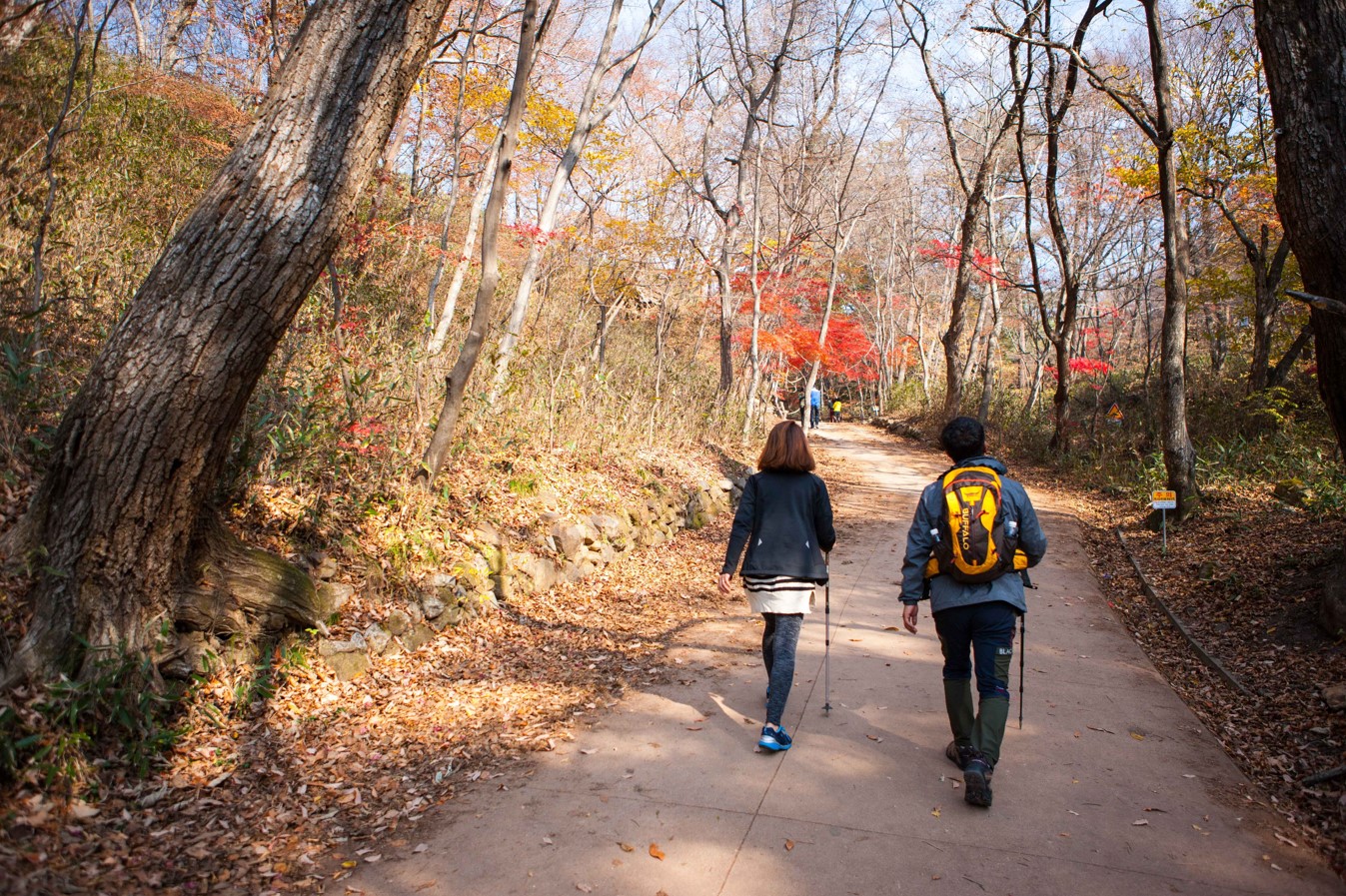 가야산-등산코스