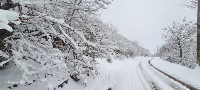 대설특보 차량 관리 이것만 알면 끝