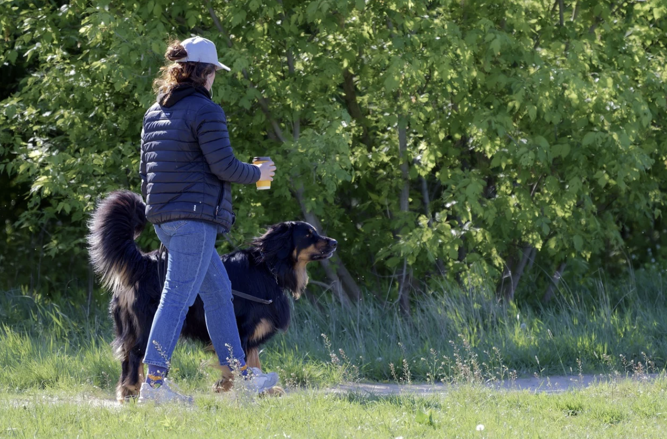 하루 만보의 저속노화 효과