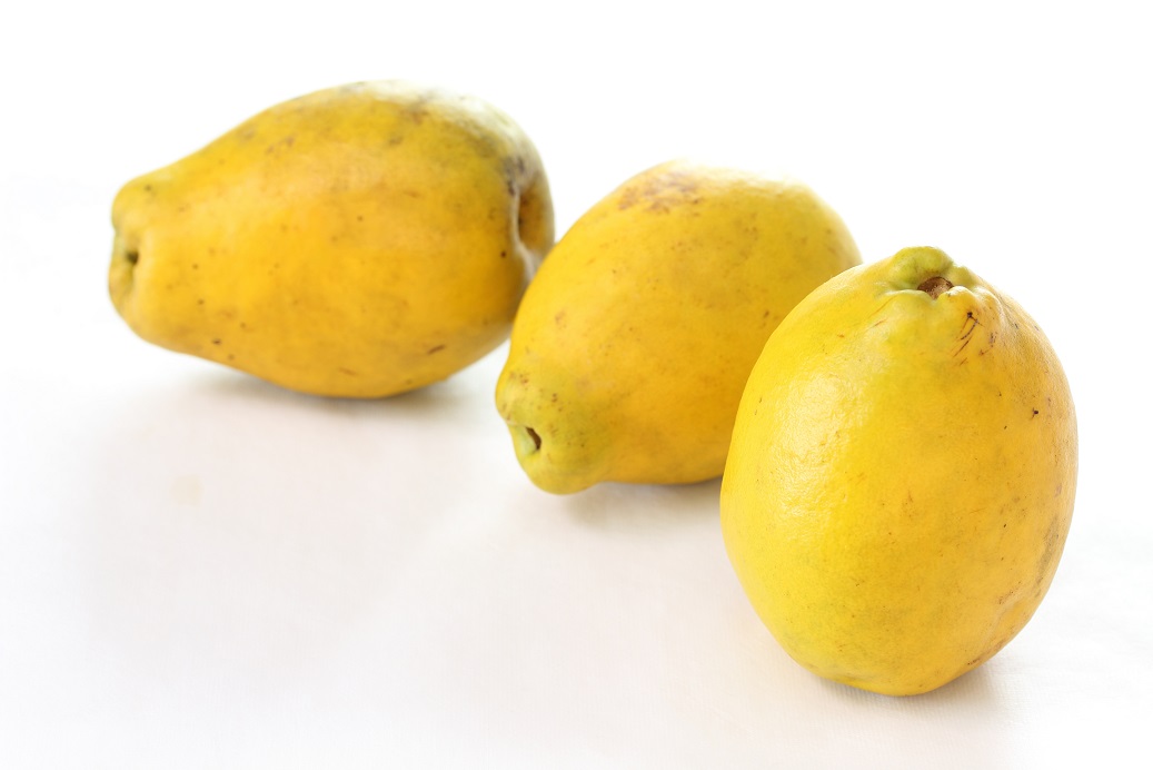 감기에 좋은 음식