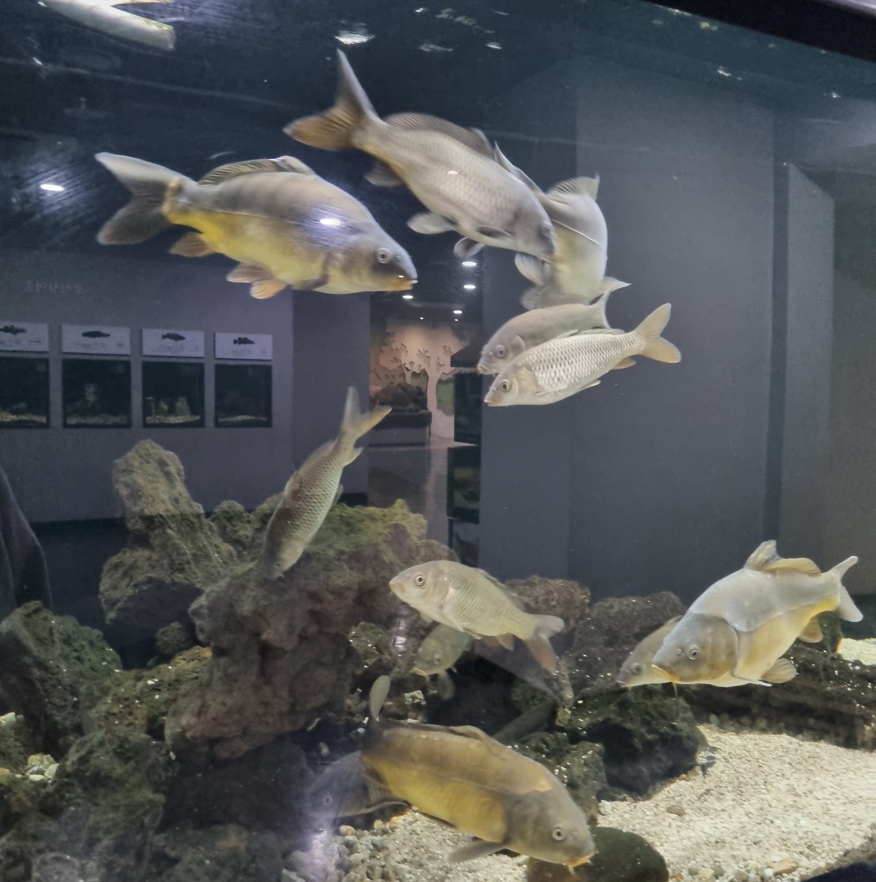 부천 가볼만한 곳 자연생태공원