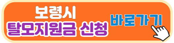 보령시 탈모 지원금