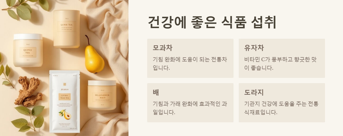 기침 가래 멈추는 방법