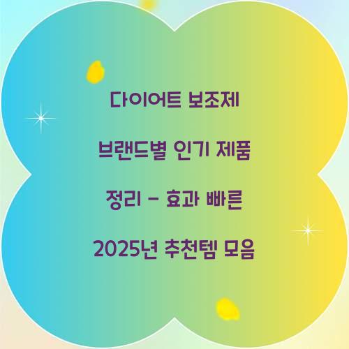 다이어트 보조제 브랜드별 인기 제품 정리