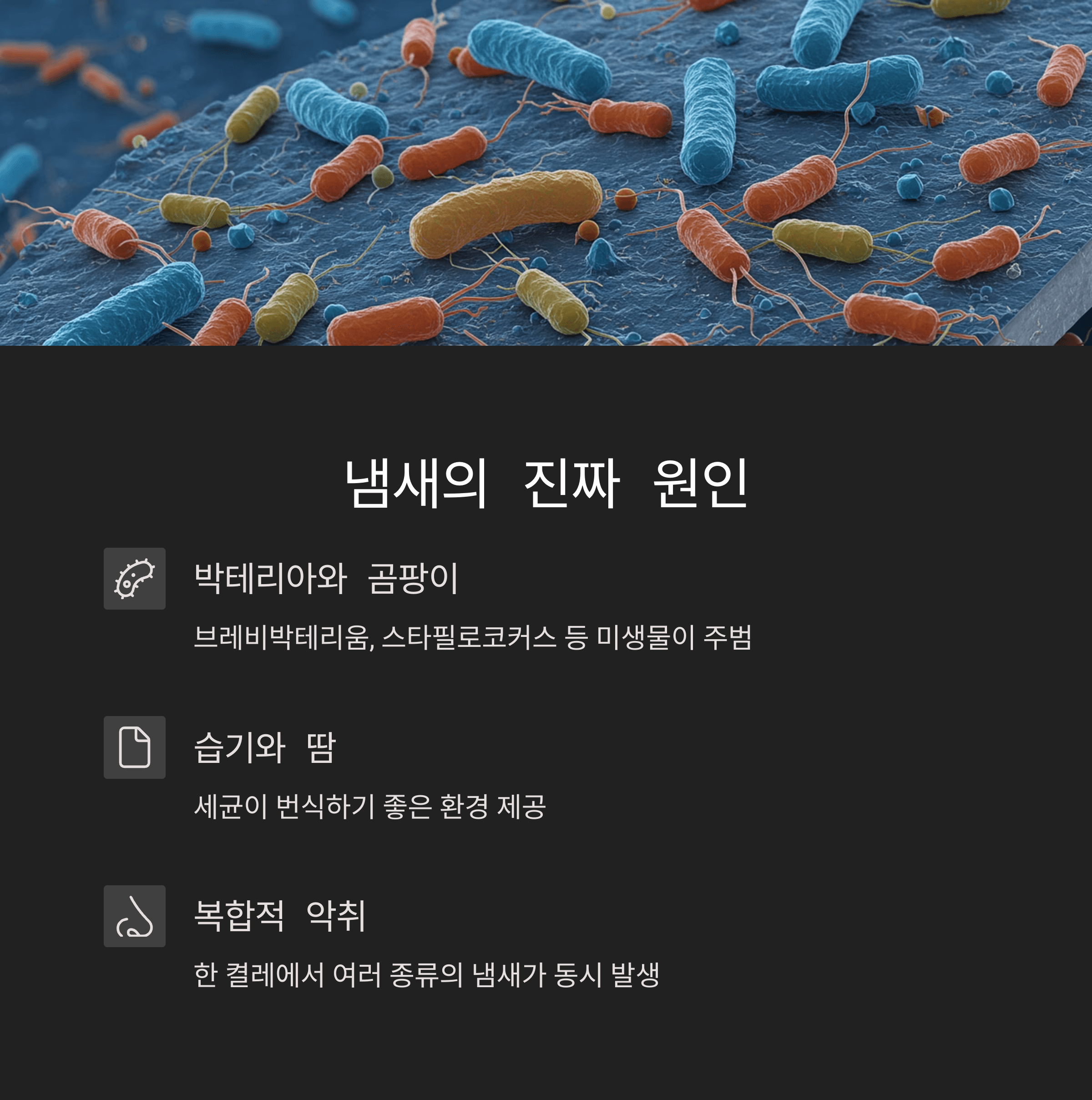 운동화 냄새 제거 완벽한 해결법