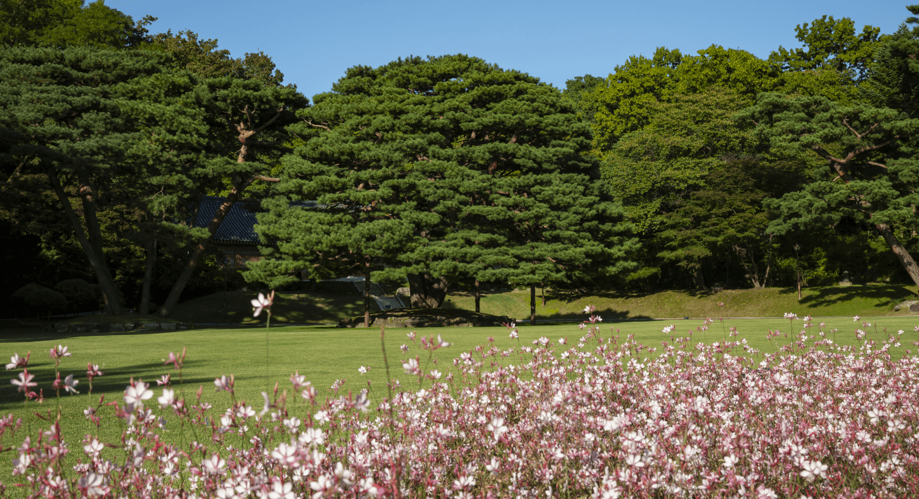 청와대 관람 코스 사전 예약 주차까지 한 번에 알아보기