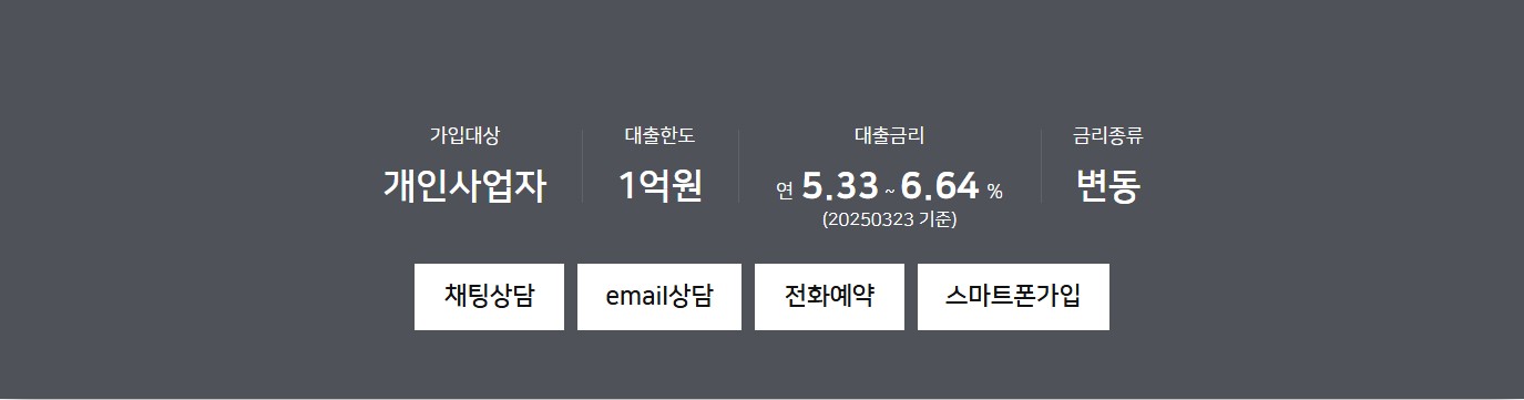 NH e사장님 바로대출