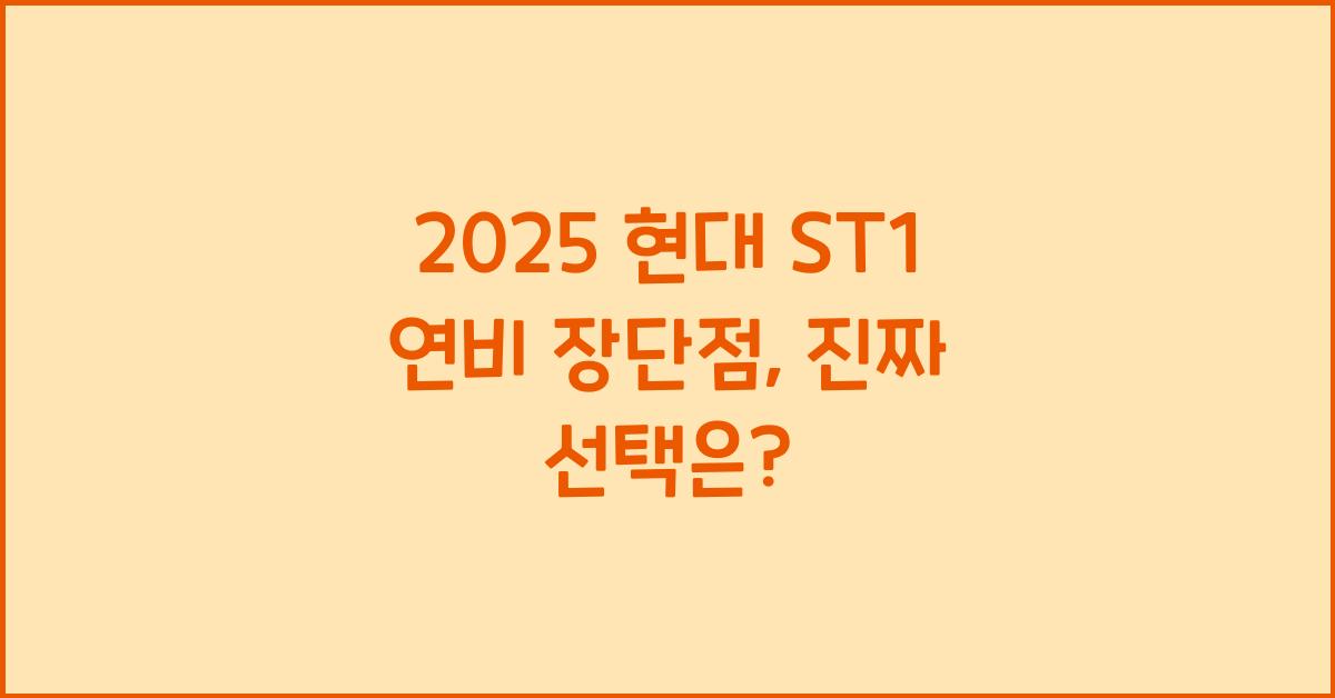 2025 현대 ST1 연비 장단점