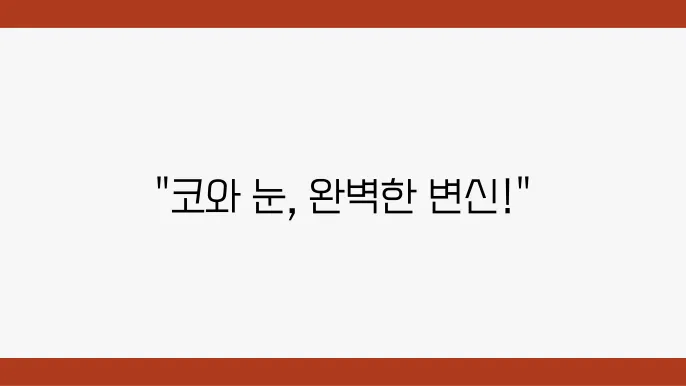 코 성형 수술 전후 변화