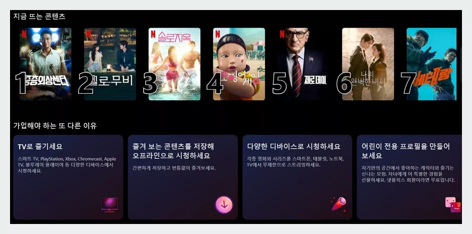 넷플릭스