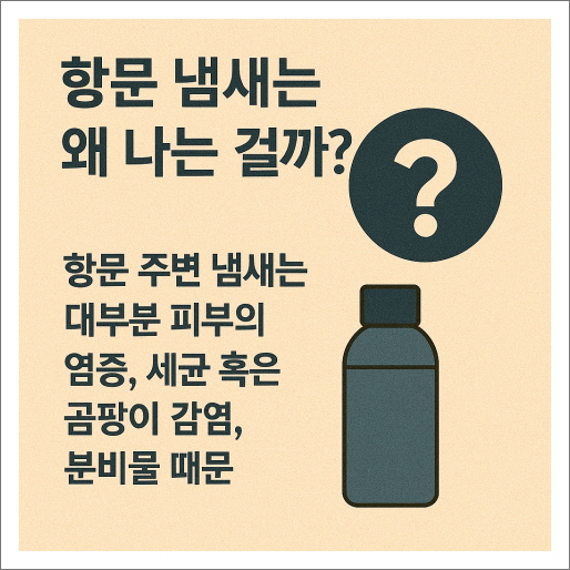 항문 가려움증_항문 냄새느느 왜 나는 걸까?