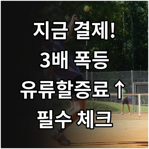 일본 여행 계획 중이라면 지금 항공권..