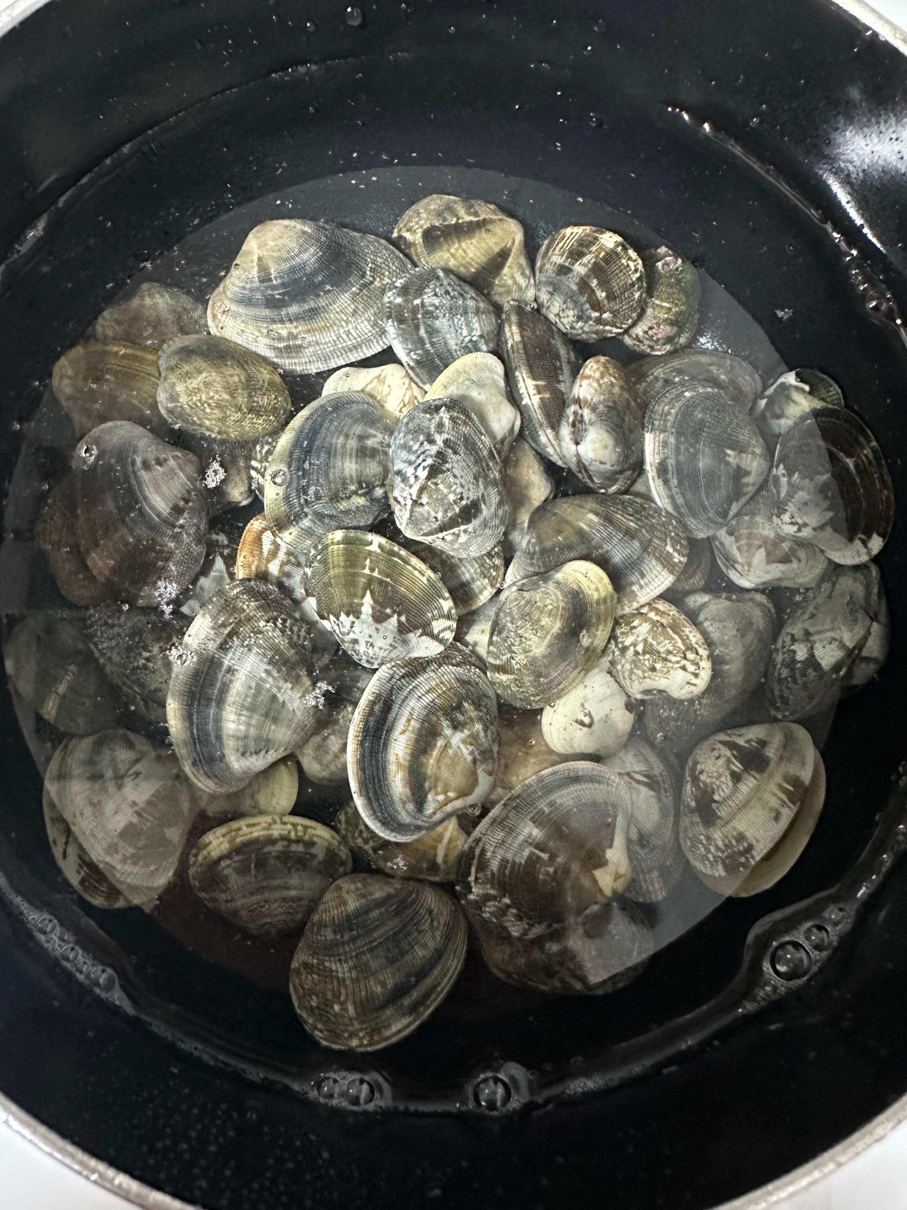 Super Simple Clam Soup Recipe(Healthy clam soup, fresh clams and horn snails, ultra-simple and light, full of rich ocean flavor, mudflat experience in Muchangpo, Boryeong, South Chungcheong, boiling horn snails and small clams, healthy homemade meal, easy soup recipe)