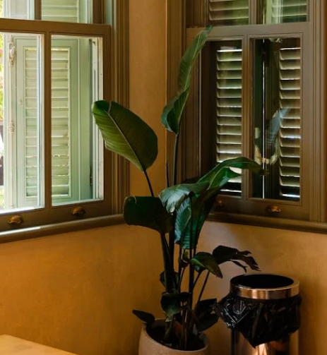 새집증후군 원인과 냄새없애는 법