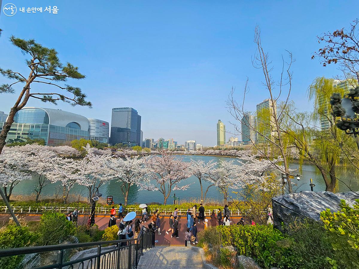 송파구 잠실 석촌호수벚꽃축제 기본일정과 프로그램 소개