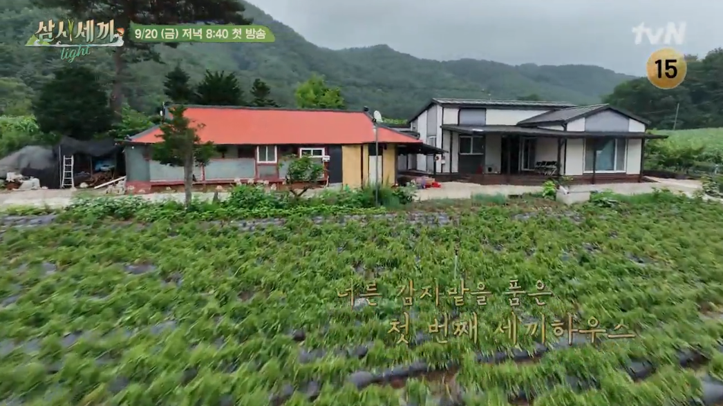 삼시세끼 라이트
