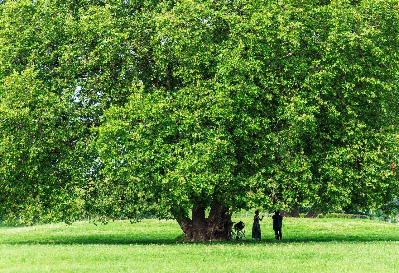 시원하게 더위를 피하는 방법