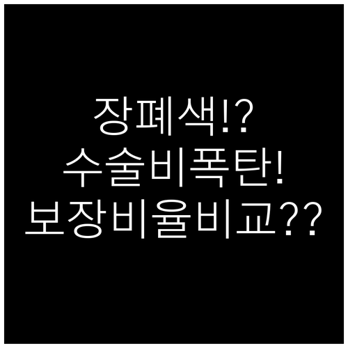 고양이 장폐색 수술비 경험으로 본 보..