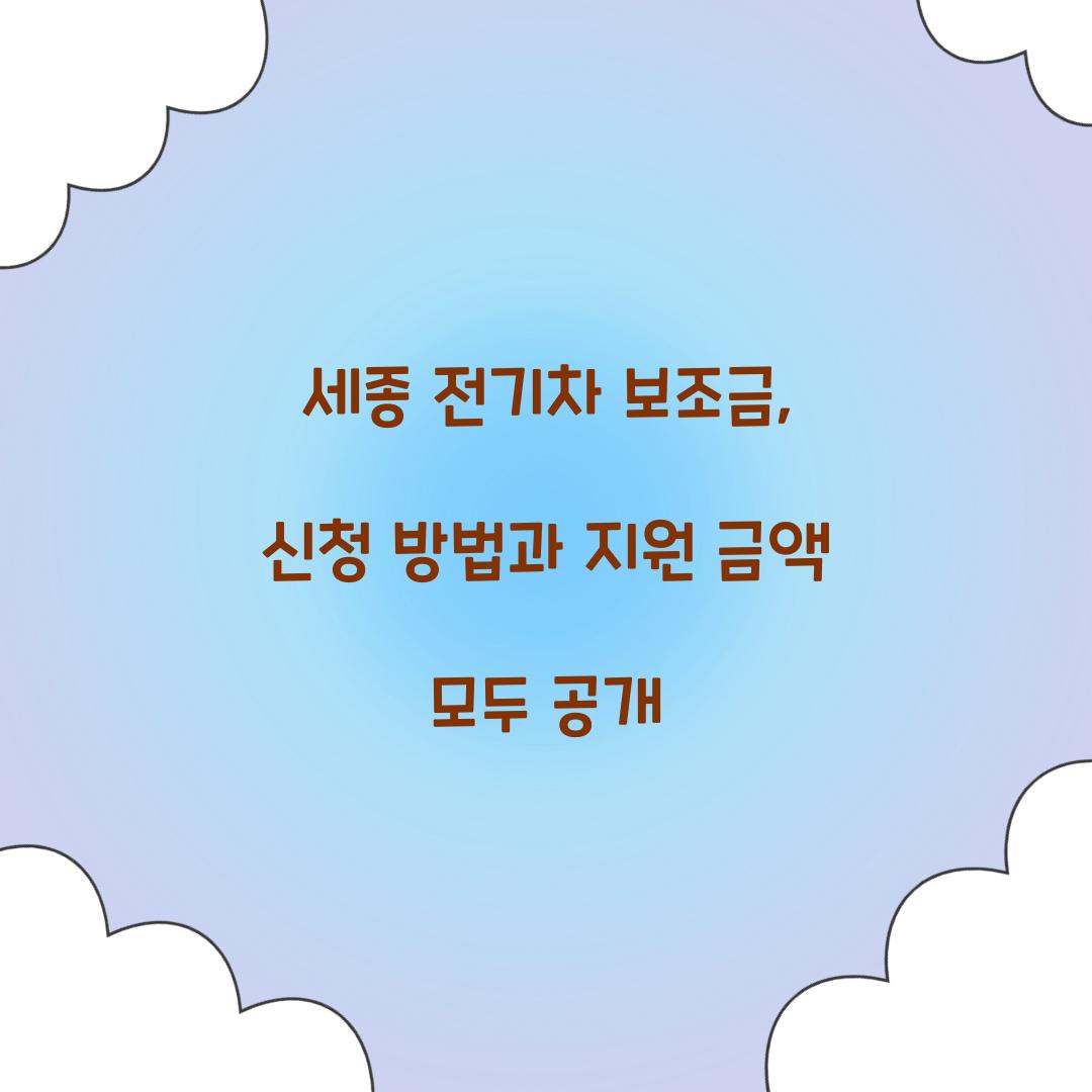 세종 전기차 보조금