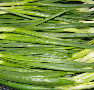 대파 효능과 부작용 고르는법